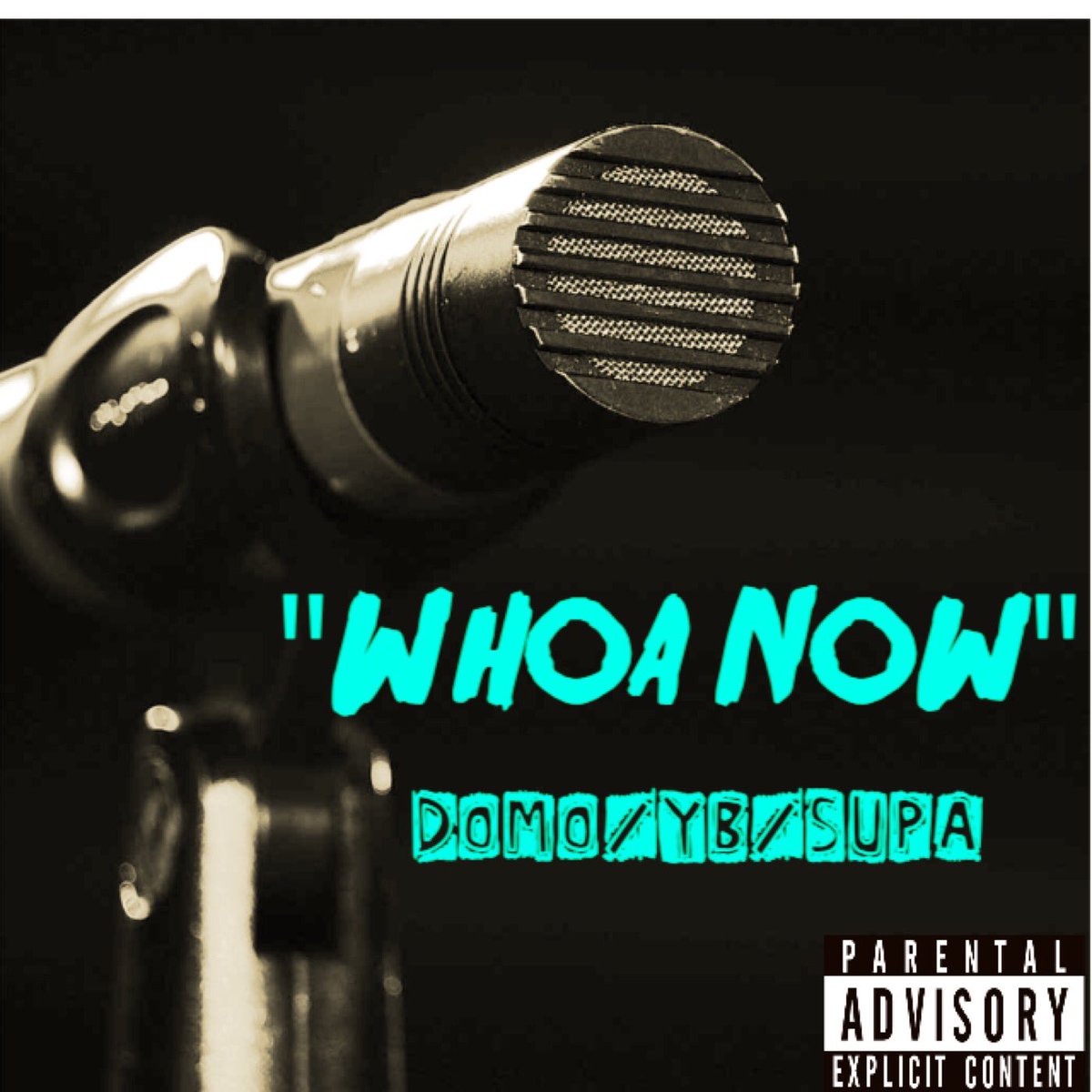 DomoKushh's tweet photo. Only Song Out Right Now Push It Til They Want More Is The Motto #Notyouraveragerapper https://t.co/DUWjGe4s68