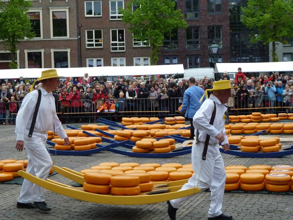 westfrieslandNL's tweet image. VAKANTIEPLANNEN 2017? 
Laat je oog eens vallen op het mooie Westfriesland (N-H). Zie facebook.com/Westfriesland.… #fietsen #wandelen #eropuit