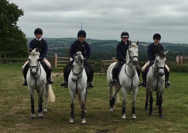 FarnleyEstate's tweet photo. Farnley Ride available for group #hire. Please contact @FarnleyEstate #horseriding #Horses #Yorkshire #daysout #Countryside #huddersfield https://t.co/Kff0td9IKr