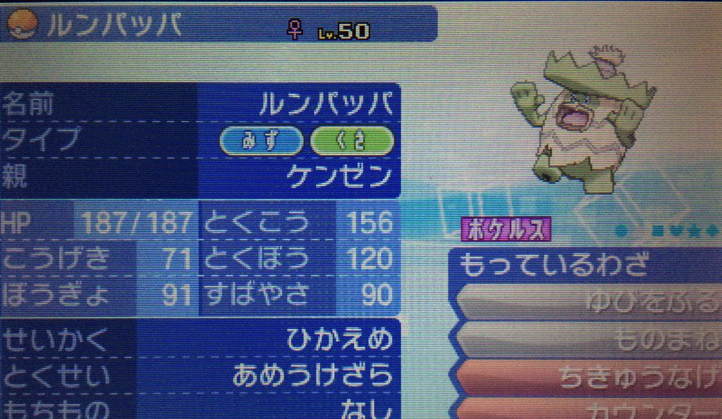 Uzivatel Kenzen 静岡へ引っ越しました Na Twitteru エメラルドから連れてきた相棒のゆびをふるルンパッパ サンムーンでも宜しく W Uzivatel Kenzen 静岡へ引っ越しました Na Twitteru エメラルドから連れてきた相棒のゆびをふるルンパッパ サンムーンでも宜しく W