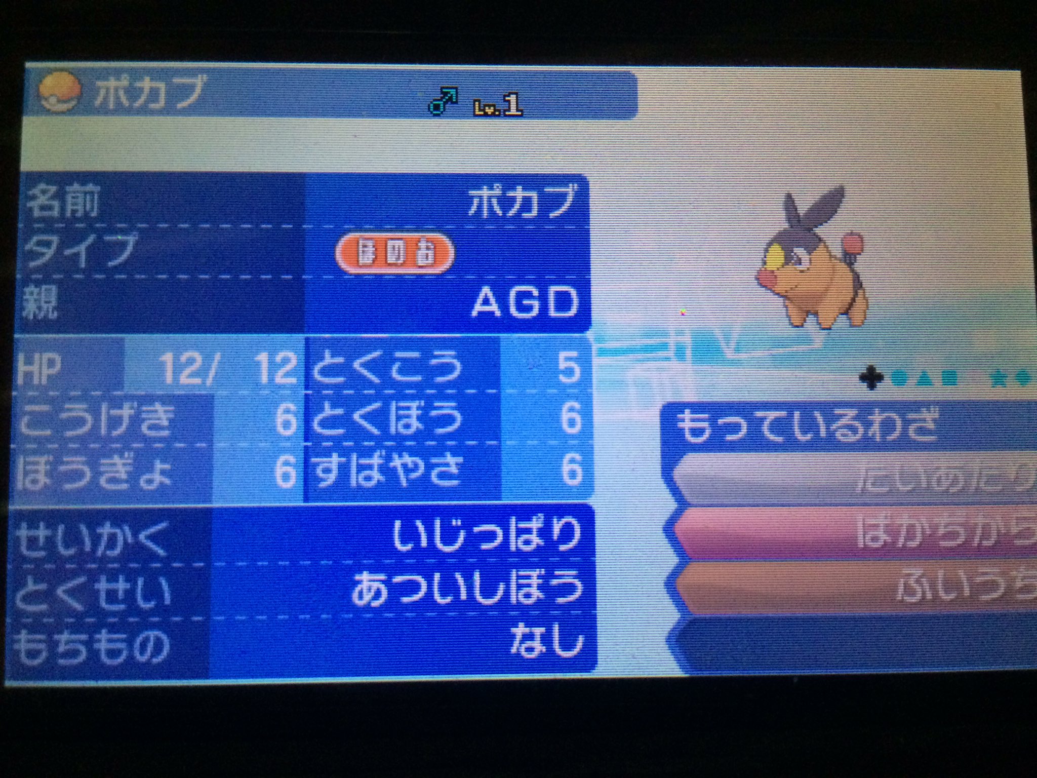 ツボツボ 色めざ炎神通力スボミー 休止中 ポケモン配布 モンボ夢特性理想個体ポカブ 馬鹿力 不意打ち遺伝 意地っ張り1匹 陽気4匹 参加方法 フォロー Rt 締め切り 2月4日23時59分 その後 抽選し2月5日発表 配布となります 質問はdmにて受付