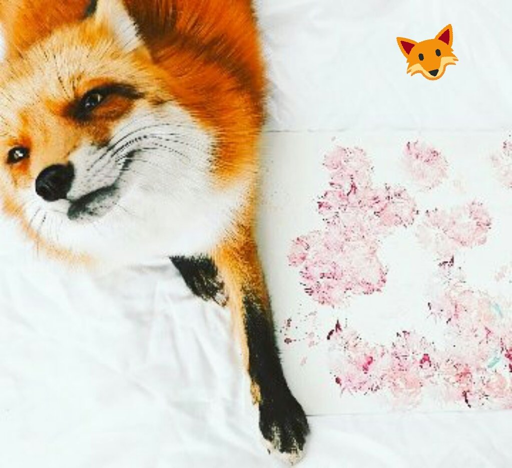 LlamameFoxy's tweet photo. #Foxytas queridas muy feliz martes. Que  mejor día que este para ser Feliz! #TeamFoxy #FoxytasFelices #LlámameFoxy #megustaleer #libros https://t.co/DU3yllLTr7