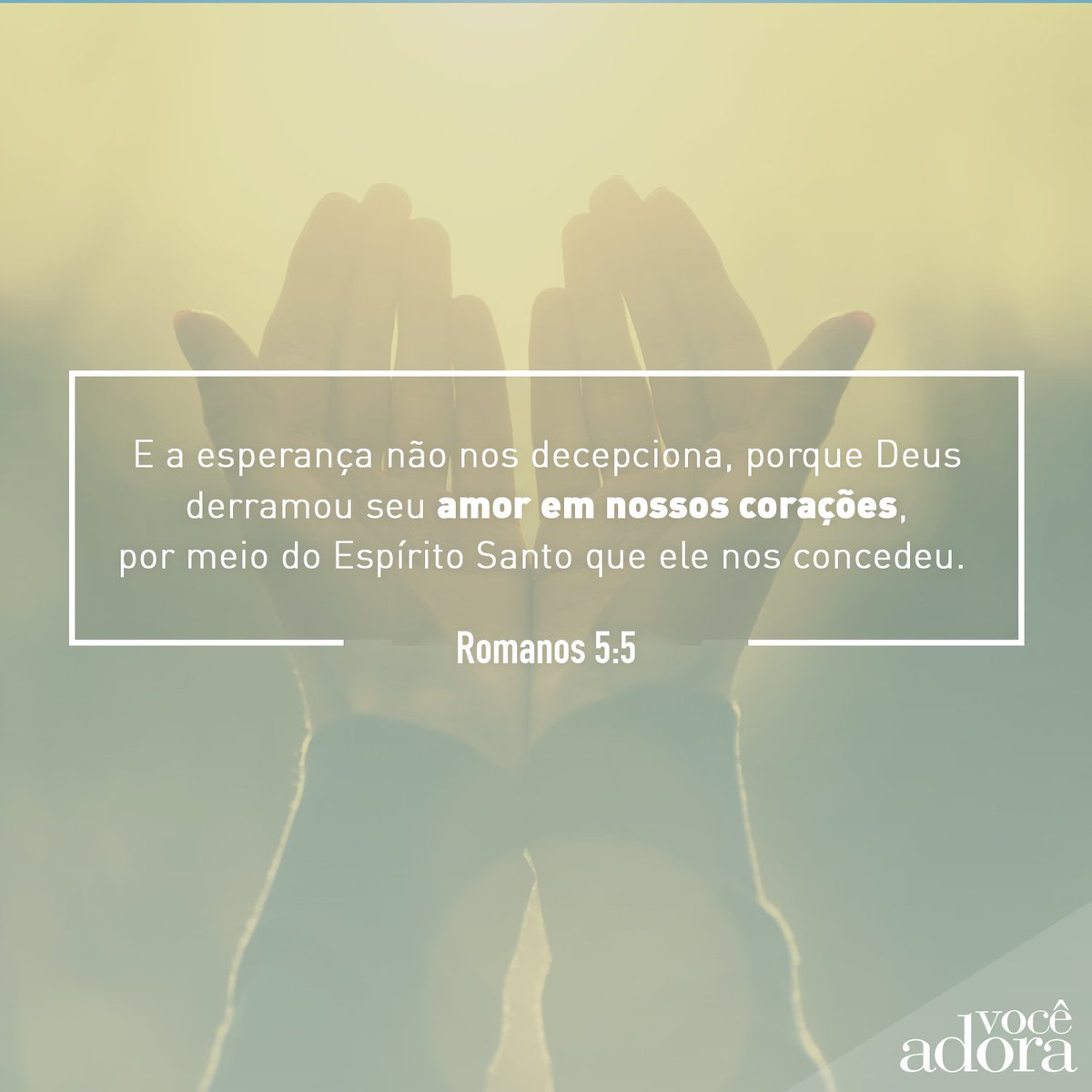 Que essa mensagem abençoe seu dia!