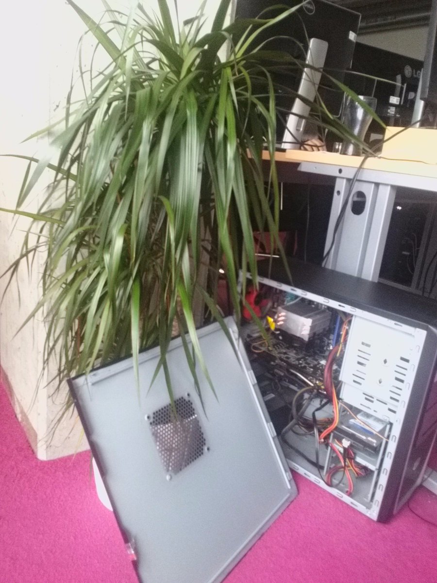 BohemiaPalmTree's tweet image. Bohemia Palm solves tropical heat of CPU caused by heavy playing.