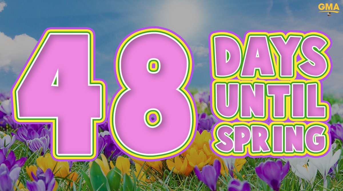 48 days until SPRING! 🌷 🌻 🌺 🌸