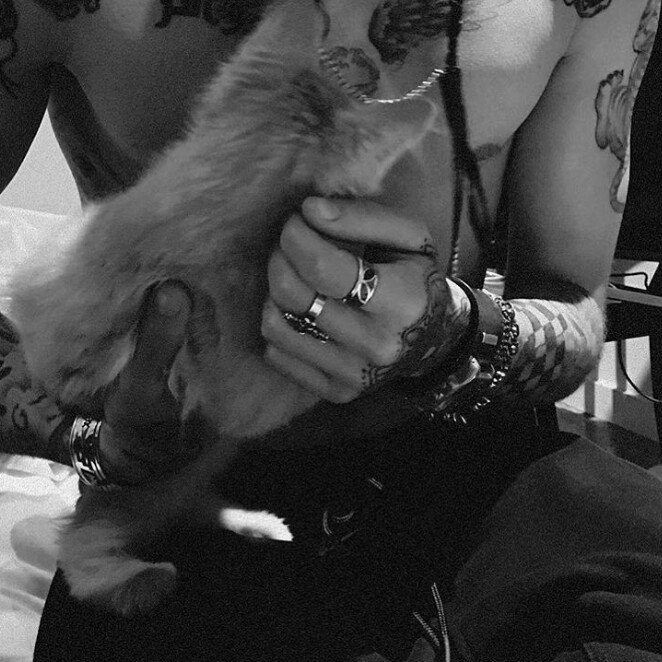 #BRITVIDZAYN