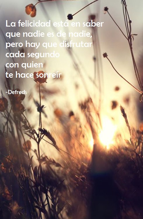 La felicidad está en saber...
#Defreds