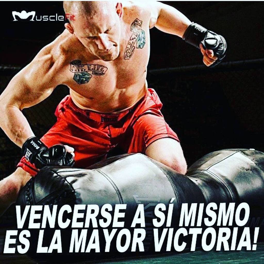 MuscleFit_ve's tweet photo. Una de las victorias más duras de conseguir, es la que logramos sobre nuestras propias limitaciones. pero nunca imp… https://t.co/V5QRQMWeml