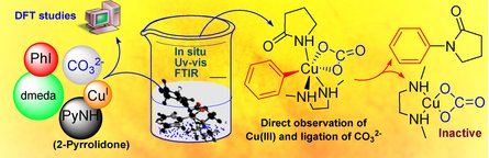 ChemCatChem's tweet photo. Mechanistic studies of Ullmann-type C-N #CouplingReaction: Cu(III) carbonate intermediates https://t.co/TScTQoPBG7 https://t.co/XQGSrHPxsc