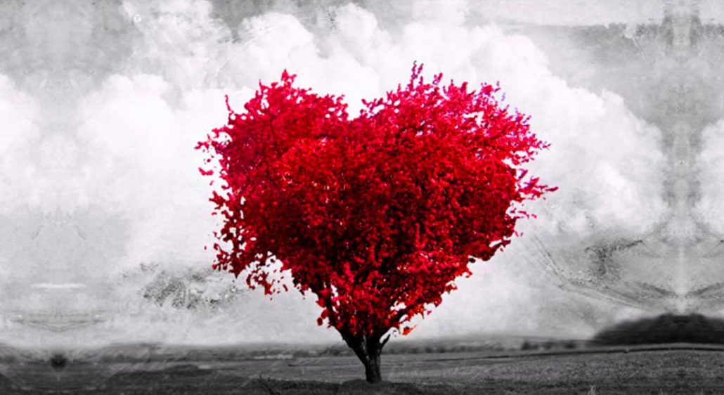 pasiontop's tweet photo. Los principales síntomas del amor - https://t.co/Nj78WtrGUL https://t.co/aLde7kPlqi