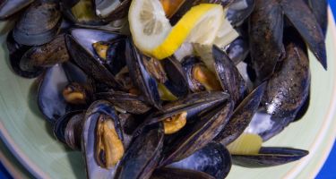 Craving Seafood? Chéticamp has something to please everyone  Bon appetit! Check out our locally owned restaurants at cheticamp.ca/en/taste-cheti…