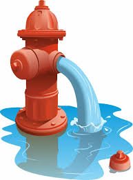 Hydrant flushing will be taking place in the Steeplechase neighborhood today.  Questions Public Works 301-934-8421