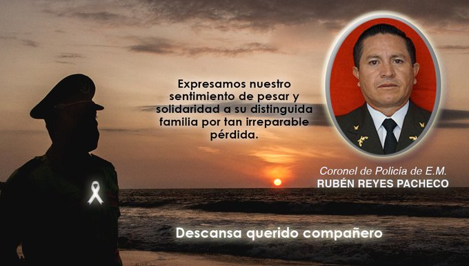 Ver imagen en Twitter