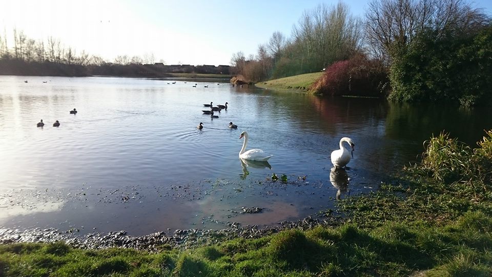 YorkBikeBelles's tweet photo. Adam @BestWesternGB walks to work to #avoidcongestion & #enjoynature @iTravelYork #yorkwinterchallenge Read more.. https://t.co/y2KnkrAgtC https://t.co/50GOAT68uG