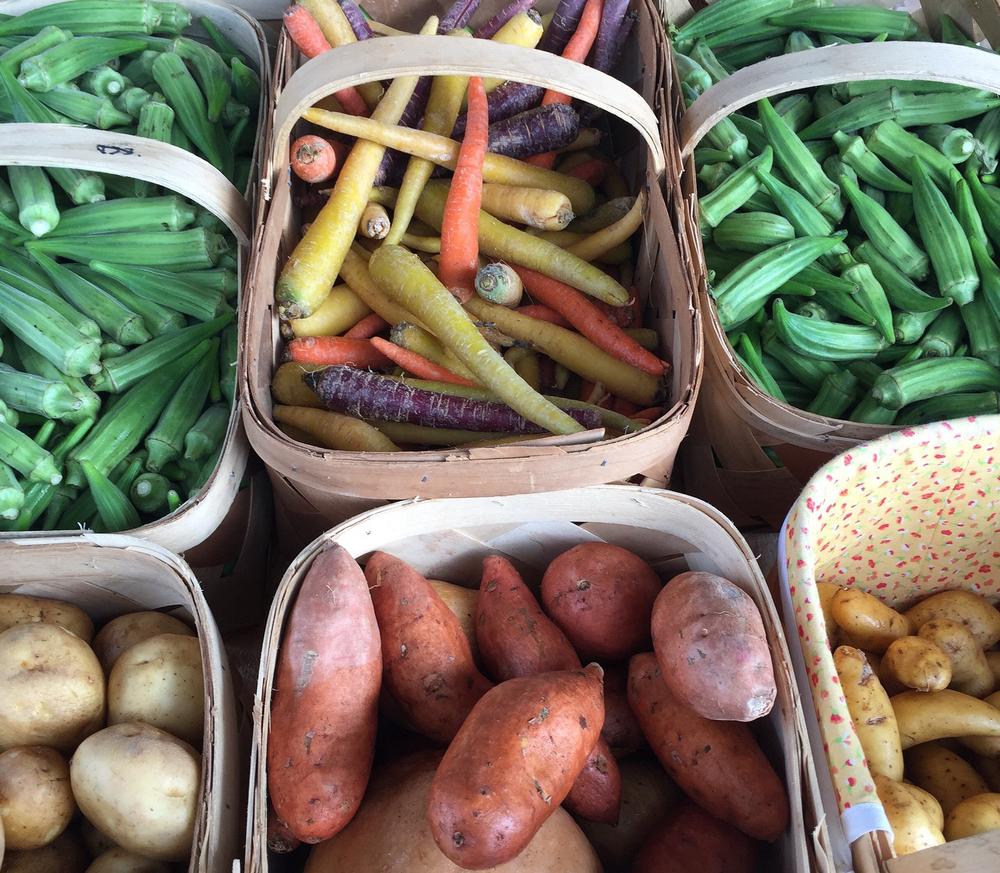 NYU Steinhardt Nutrition and Food Studies tweet media