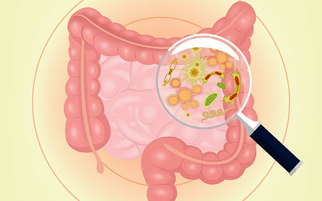 MatiaFundazioa's tweet photo. ¿Restablecer el #EquilibrioIntestinal puede #ayudar a los afectados por esclerosis lateral amiotrófica? https://t.co/KluftMtzFC #ELA https://t.co/T11XA971U8