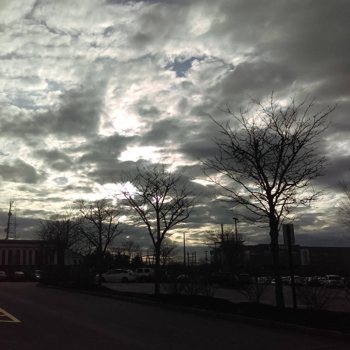 masoochwrites's tweet photo. @netnarr I've found I rather like taking pics against the light. Silhouettes and sun glares are rad π #netnarr #dda31 https://t.co/a8FFA4X1hg