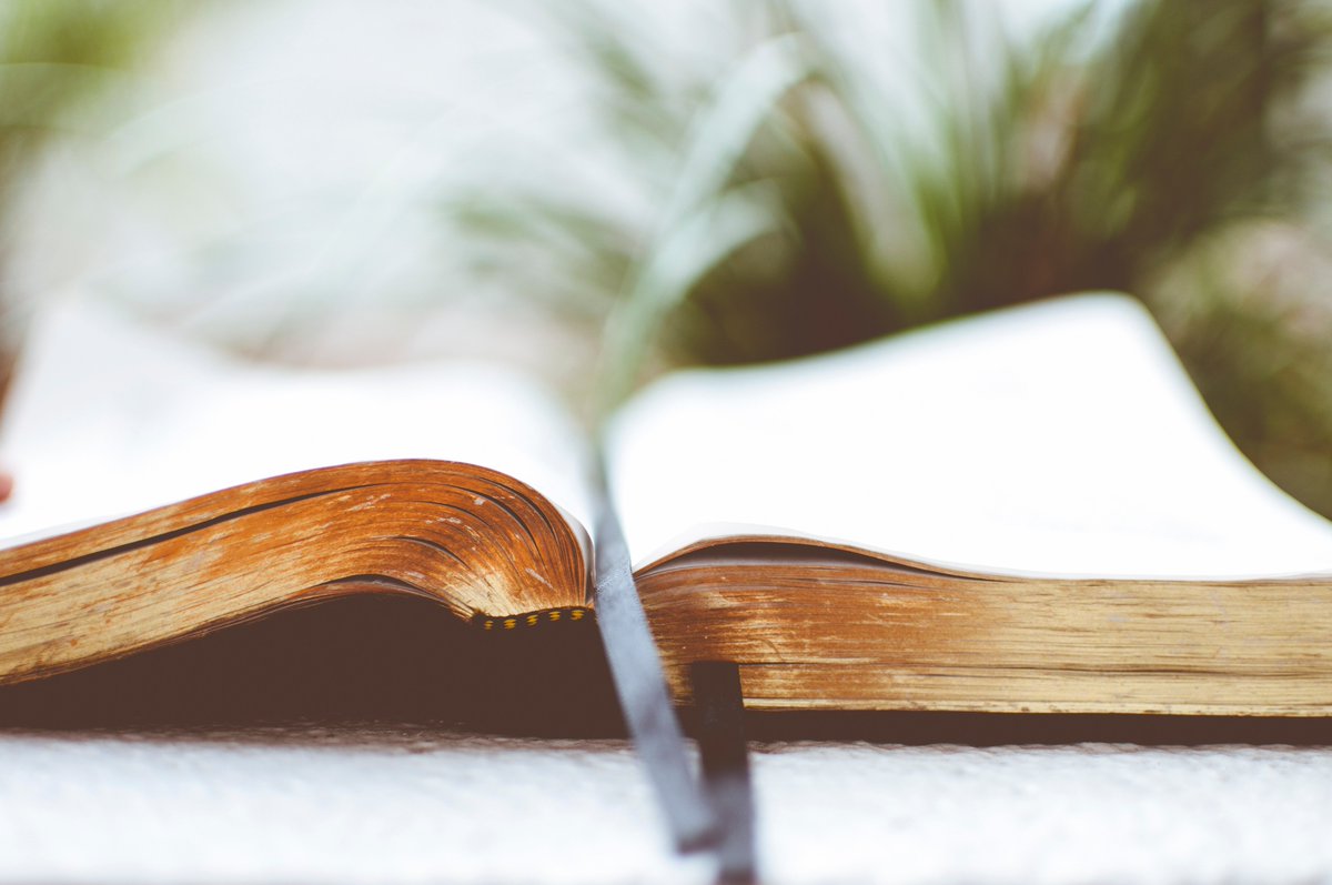 TheScriptors's tweet image. January wrap up: Favorite #books this month? Give us some recommendations, especially love #supportindie