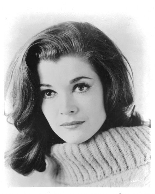 Happy birthday, Jessica Walter. Beautiful, talented and witty...yep a Brooklynite for sure. 