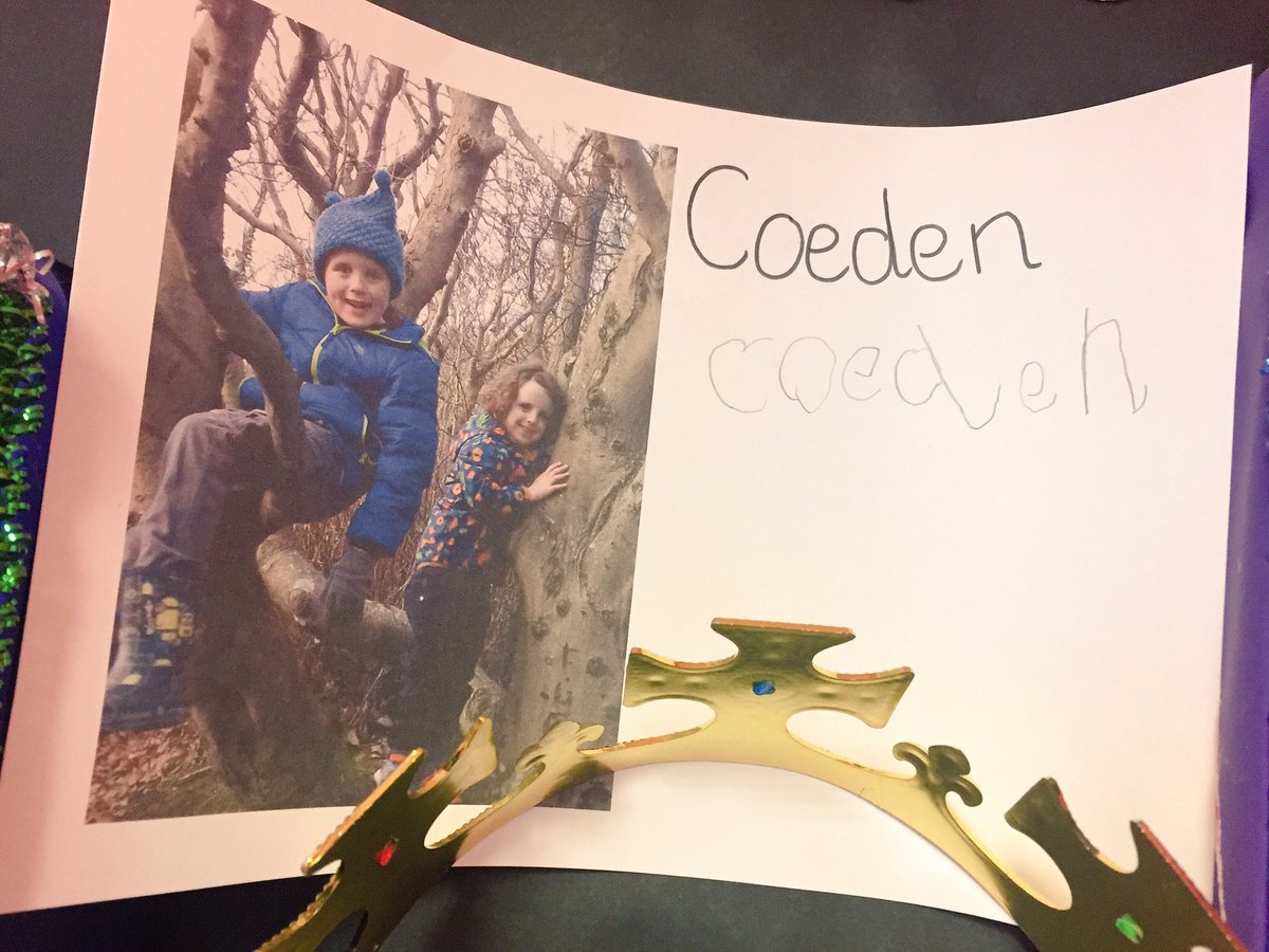 YsgolGymraegD's tweet photo. #ceffyl #crocodeil #coedwig #coron #castell #coeden https://t.co/aIVbn0KEN5