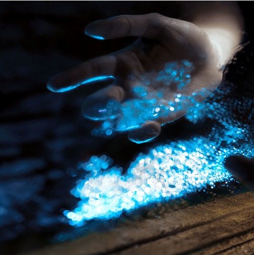 GBH Music tweet media