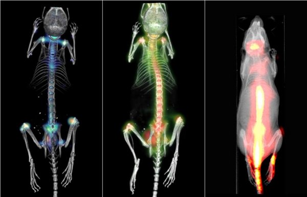 Global #SmallAnimalImaging (In-vivo) Market Research Report 2017 <a href="/GR_Store/">Grand Research Store</a> @ grandresearchstore.com/medical-device…