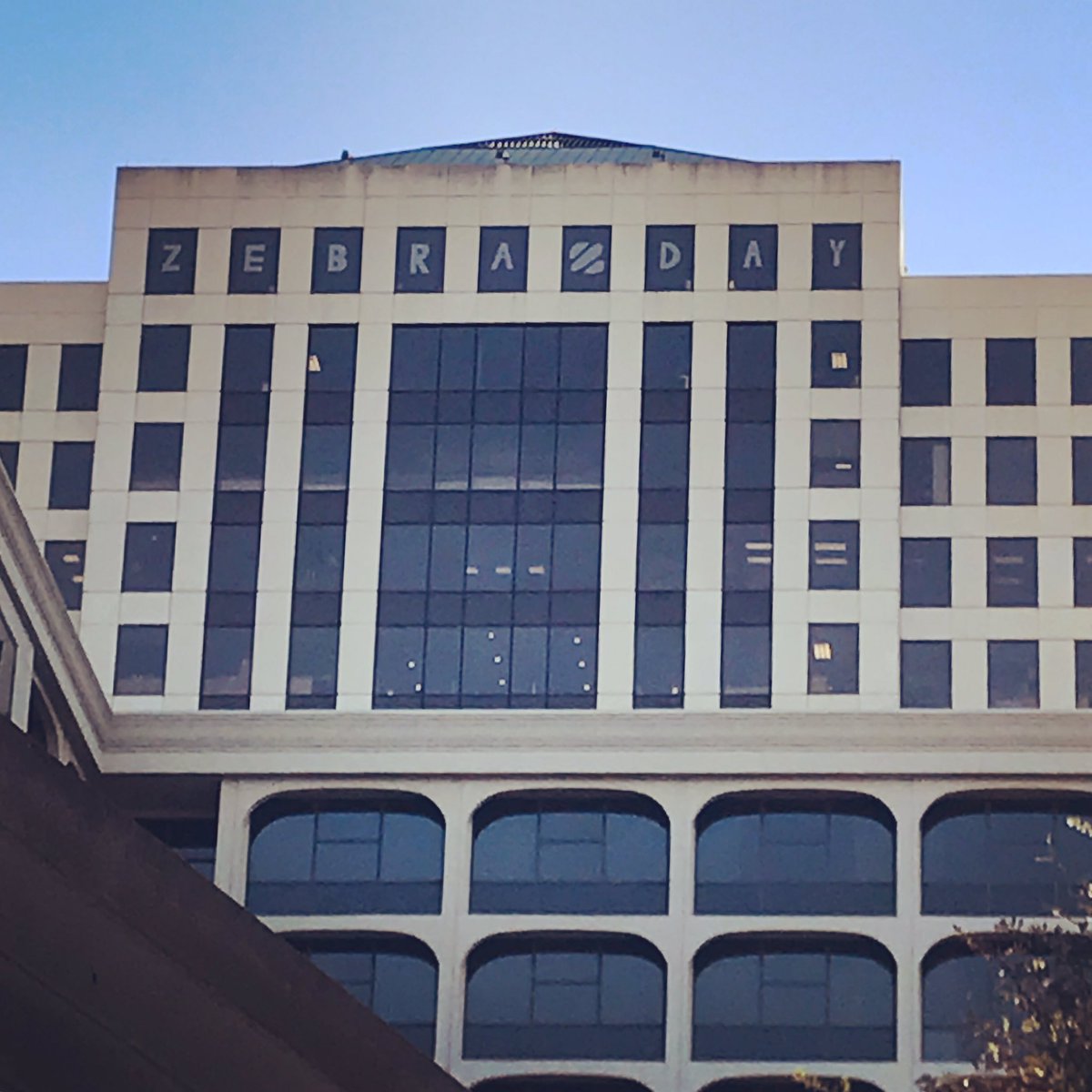 Downtown Austin, check us out! #HappyZebraDay #atxtraffic