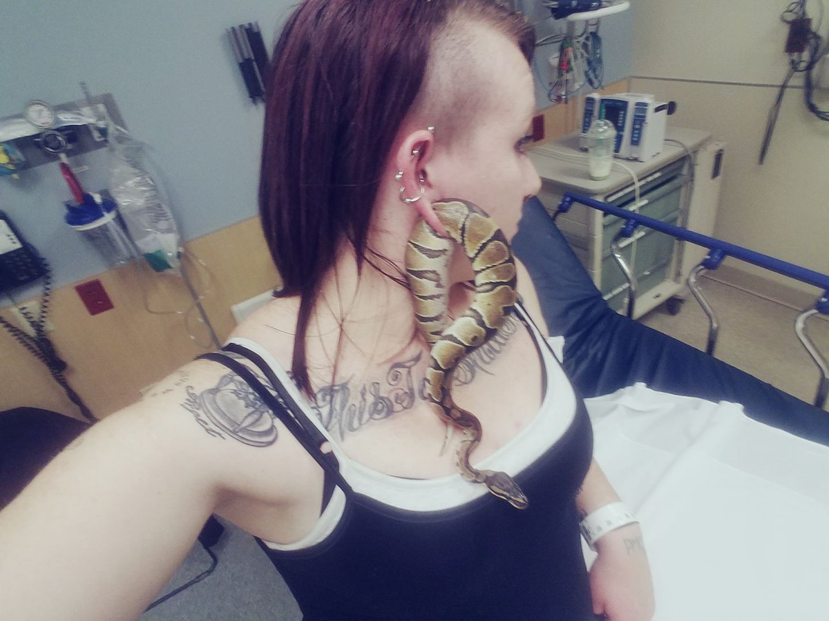 Power98's tweet photo. So this girl was innocently playing with her pet snake Bart when the reptile decided to slither into her gauged earlobe *cringes* https://t.co/4ezGOd7UCM