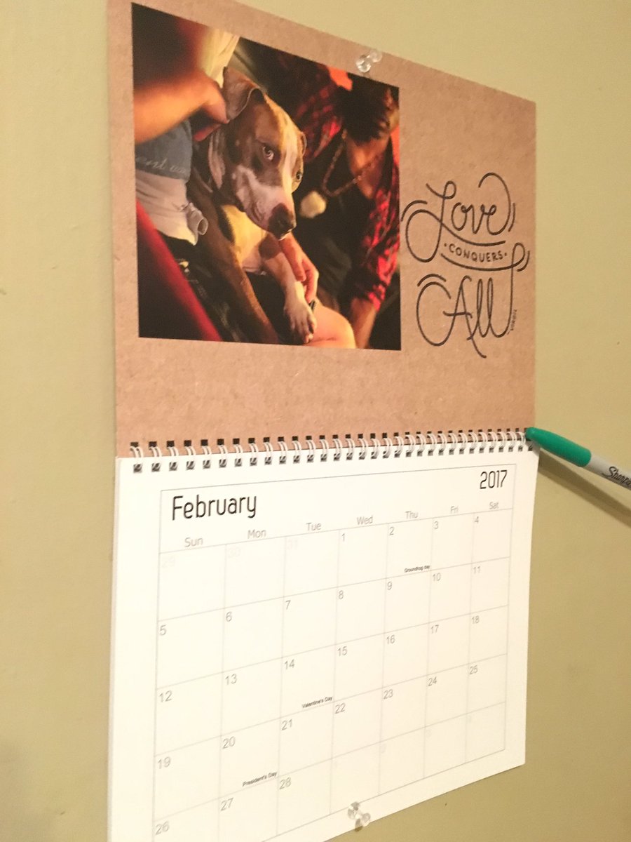 It's almost February which means you have 11 whole months to enjoy our 2017 Sharky calendar. There are a few left in the shop, stop by 8-6!