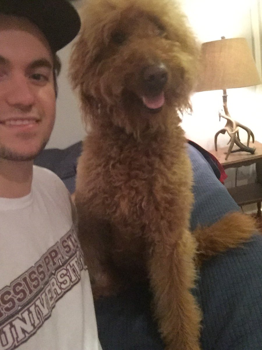 WalkerShepherd's tweet photo. The newest member to the family. https://t.co/PnB0aJPdH7