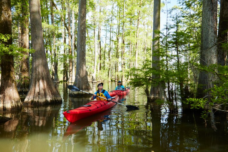 Discover_SC's tweet photo. Our 2017 South Carolina Vacation Guide is here! Plan a vacation that's Just Right. #DiscoverSC #PlanForVacation https://t.co/3qp64FzBWL https://t.co/5r7ATec32c