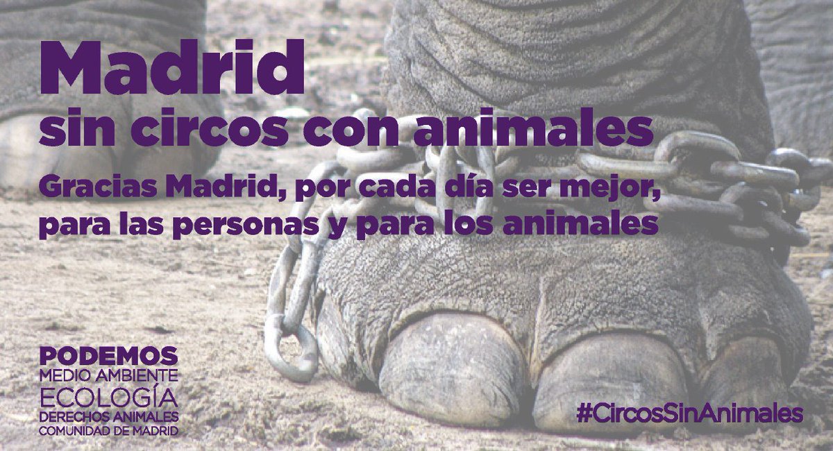 PAEstatal's tweet photo. ¡Conseguido! Madrid libre de circos con animales con el único voto en contra del PP.  ¡Seguimos! 🐨🐘🐫🐴🐼🐻🦁🐯🐒 https://t.co/igxYFJe25V