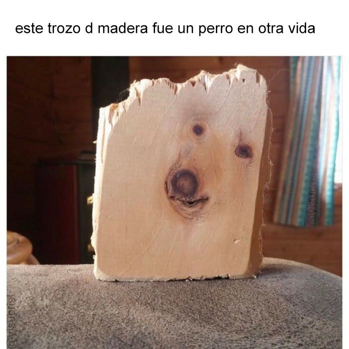 yisucrist's tweet photo. la naturalesa no deja d sorprendernos https://t.co/F8vrskAA74