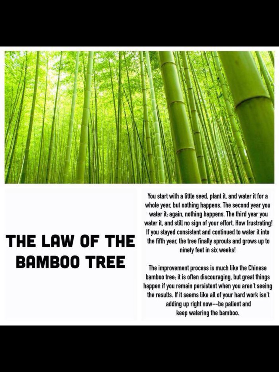 SpringheadFC tweet media