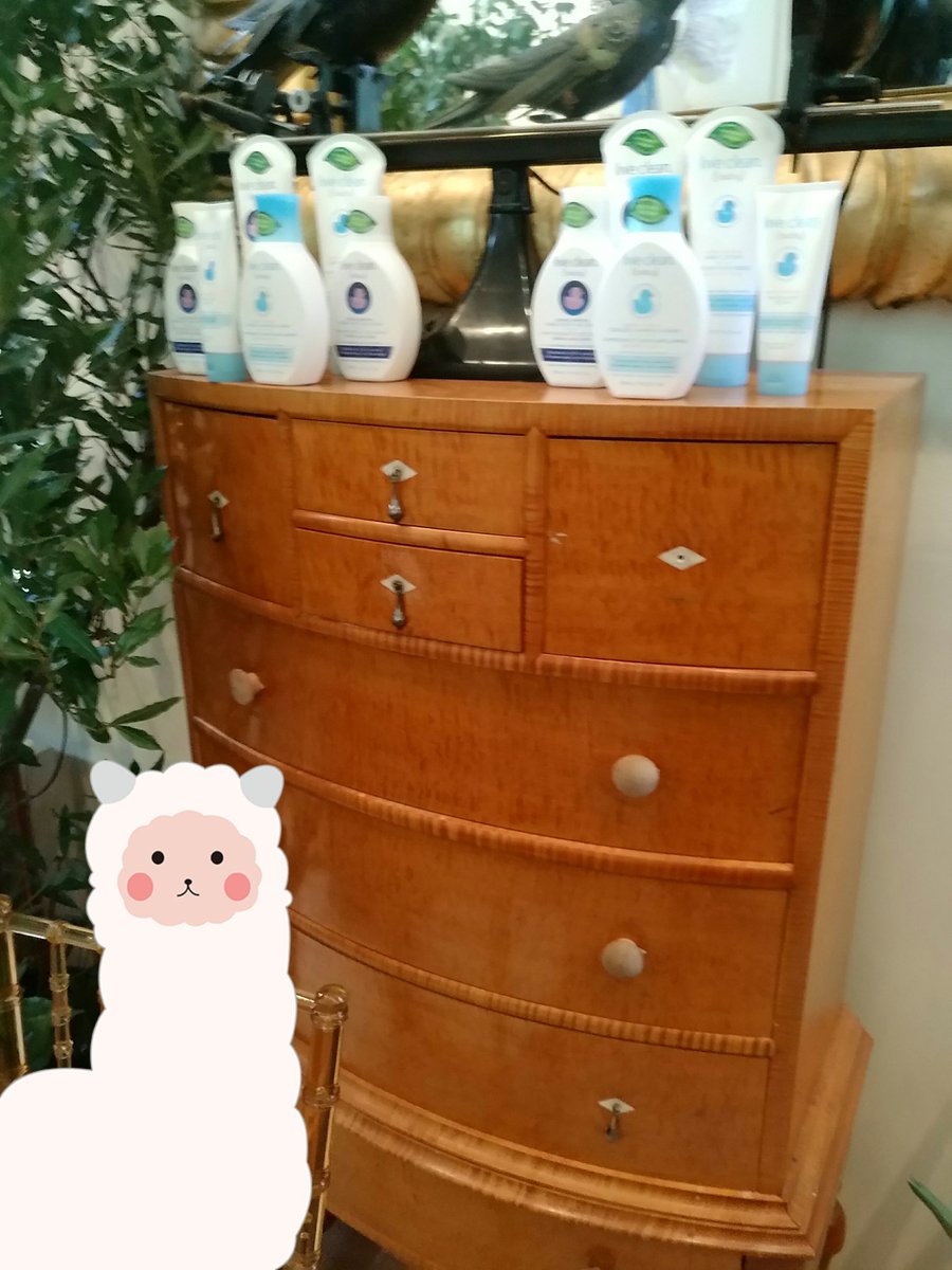 anne241's tweet photo. How gorgeous is this vintage art deco bureau at @BouleyBotanical? I've enjoyed checking out the @livecleanusa #livecleanbaby products here. https://t.co/g2qQaMRHEU