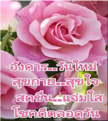 🕵🏻📝 <a href="/foxbjaehyunx/">teaser</a> สวัสดีวันอังคารแสนสดใส ข้าวมันไก่ใส่หนังมันเยอะๆ