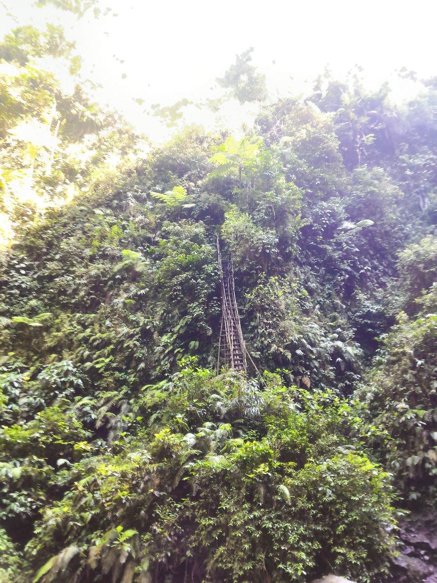 anthonylie999's tweet photo. Tumpak Sewu, Taken with Zenfone 2 @ASUS_Indonesia #BuiltForPhotography #ZPCID https://t.co/1y8RY4yrU3