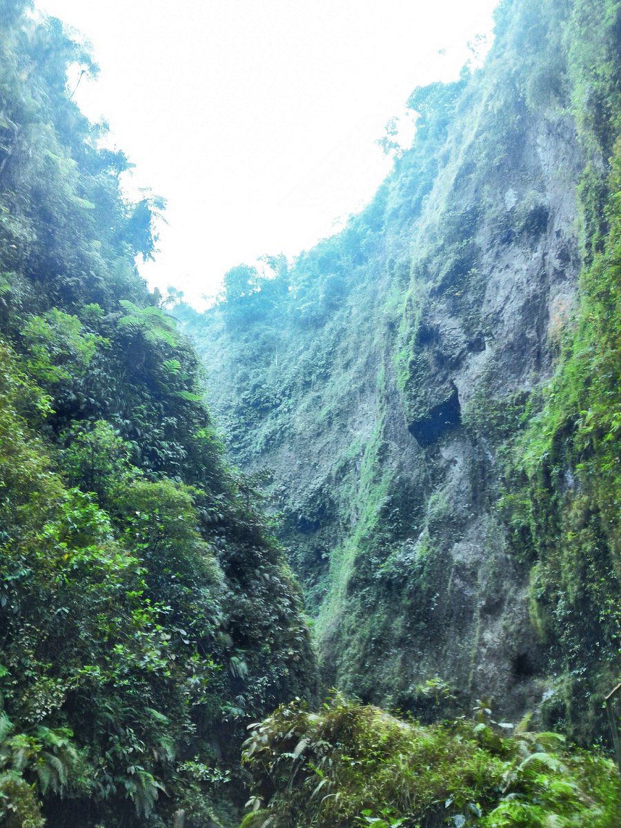 anthonylie999's tweet photo. Tumpak Sewu, Jawa Timur, Taken with Zenfone 2 @ASUS_Indonesia #BuiltForPhotography #ZPCID https://t.co/bNjKbLfTBn