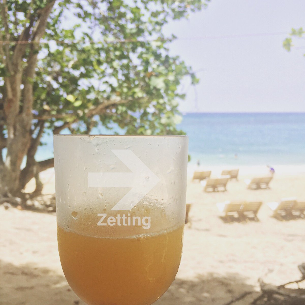 ZettingTravel's tweet photo. Looks like a pretty great way to spend a Tuesday if you ask me! 🍹🇯🇲🏝
#Zetting #ZettingTravel #BambooBeachClub #BambooBeach #Jamaica https://t.co/AVtdVSaCpH