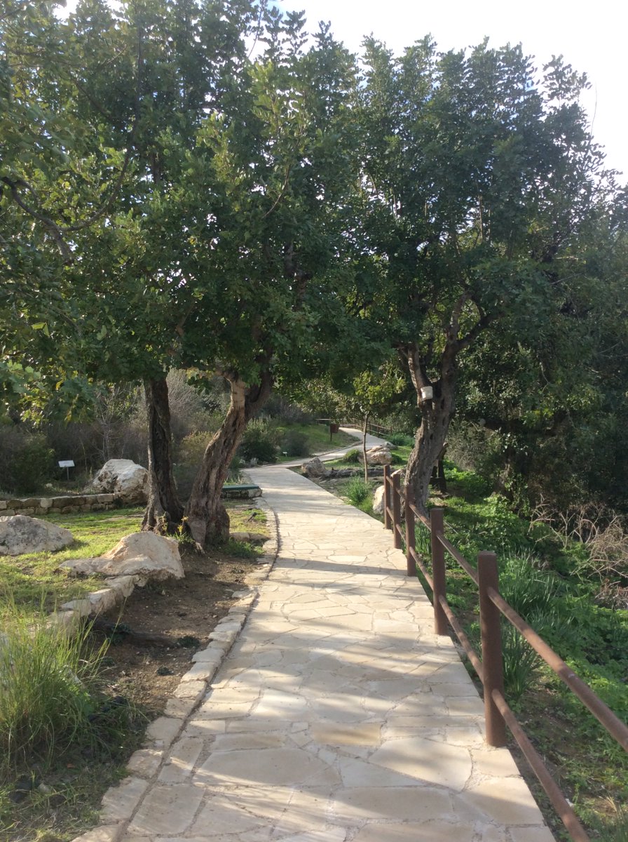 Cyprus_Sov's tweet photo. #Wonder the #Trails to #AphroditiesBath and take in nature.. https://t.co/OVFENJJ69w