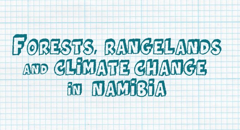 ThinkNamibia's tweet image. Did you know you can learn about our project and the environment in Namibia straight from our website? buff.ly/2kKv7SZ
#thinkNamibia