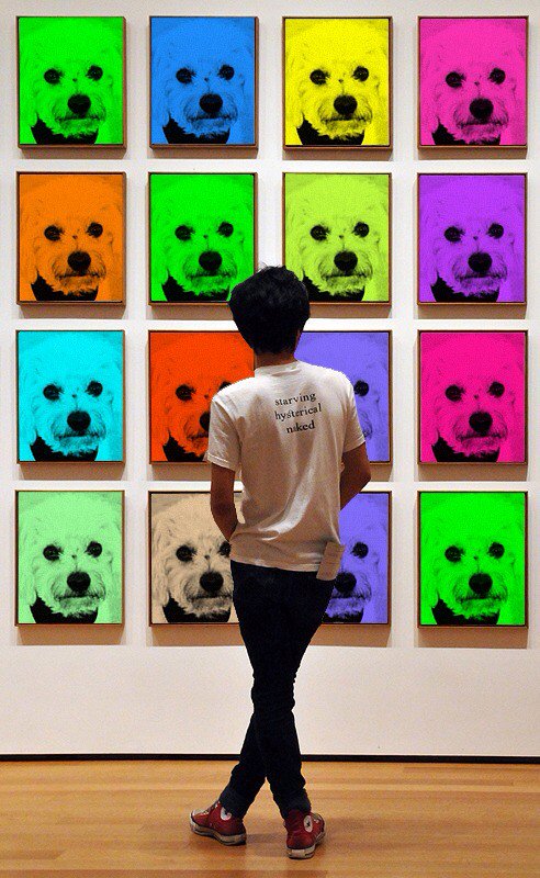 RescueDogSunnyF's tweet photo. A wall of Warhol, Sunny style! #masterpuppiece #dogsoftwitter #jetsetterdog #RescueDog #adventuresofsunnyfambrini https://t.co/oApj8sSCvf