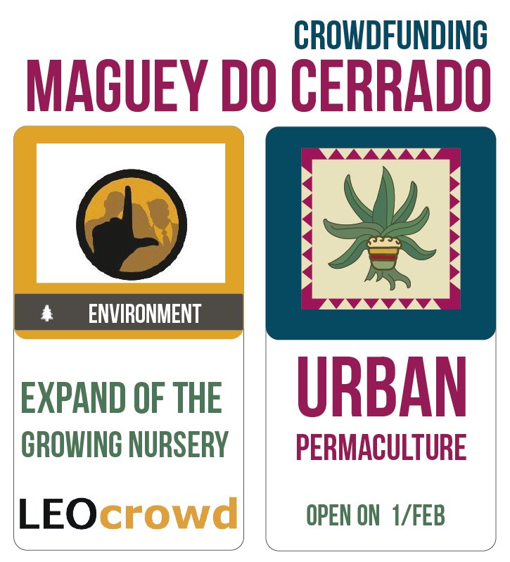 Cerrado_Maguey's tweet photo. ECO-PROJECT MAGUEY DO CERRADO
https://t.co/s3ZuQMLAWL
SUPPORT CROWDFUNDING ECO PROJECTS IN BRAZIL
#magueydocerrado #LEOcrowd #EUBCE2017 https://t.co/8dcRU38MtE