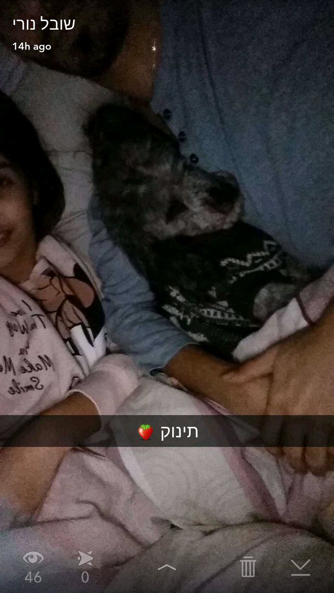 shovalnuri's tweet photo. לילה תות ❤😍🍓 https://t.co/CUjmBEudD4