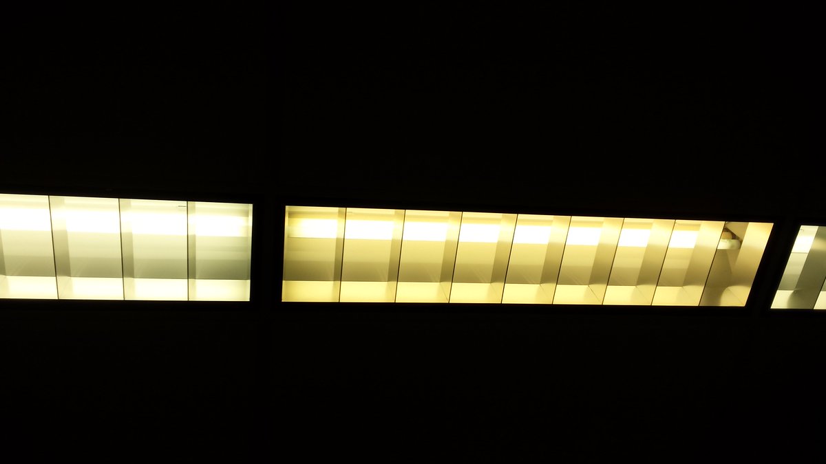KMarzinsky's tweet photo. @netnarr #netnarr #dda31 DO go into the (fluorescent ceiling) light! https://t.co/SLPxD2AYVB