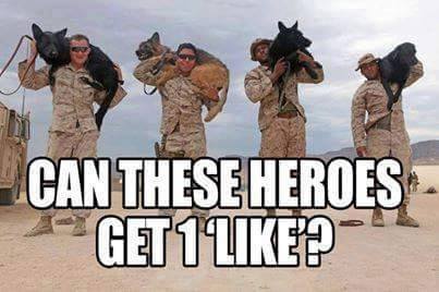 CoffeeVets's tweet photo. Absolutely! https://t.co/DFU8G722vG
