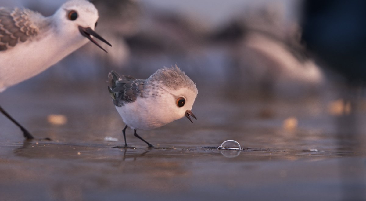 tpa_bob's tweet image. Historic @tampatheatre screening all animated, live action and doc shorts nominated for #Oscars2017 Shedule: tampatheatre.org #WTSP