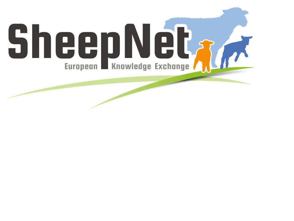 ClaireMD4's tweet image. Our brand new #SheepNet logo! @SRUCKirkton