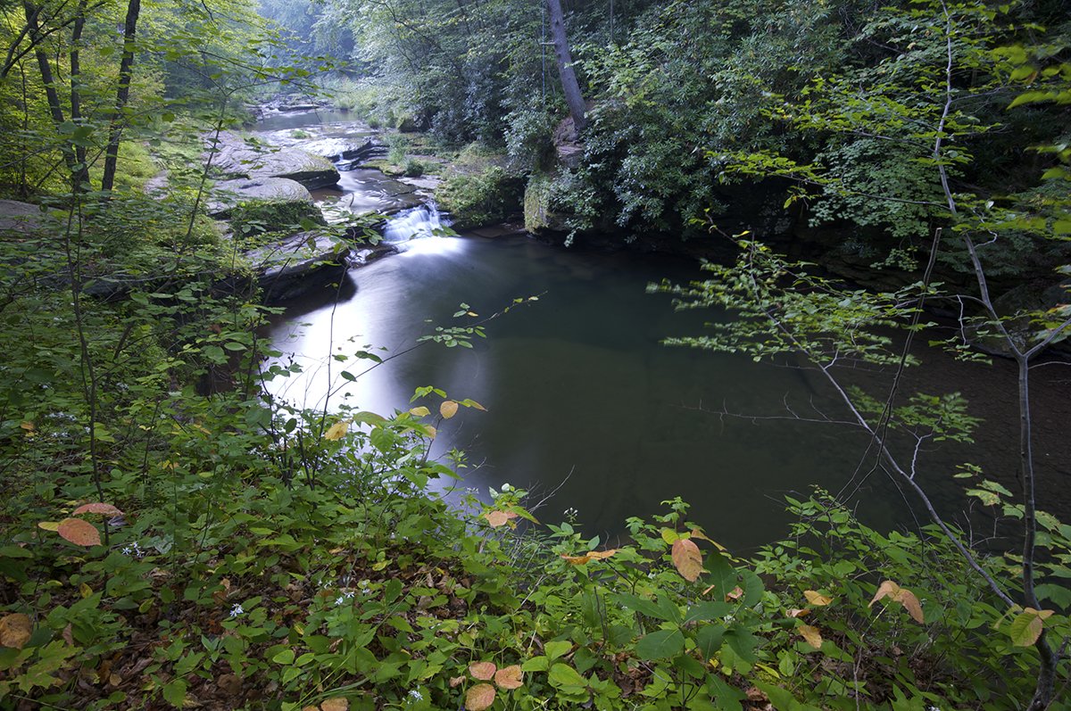chesapeakebay's tweet photo. Pennsylvania has 83,000 miles of streams, second only to Alaska! #KeystoneTuesday https://t.co/TGZi4nHtSn
