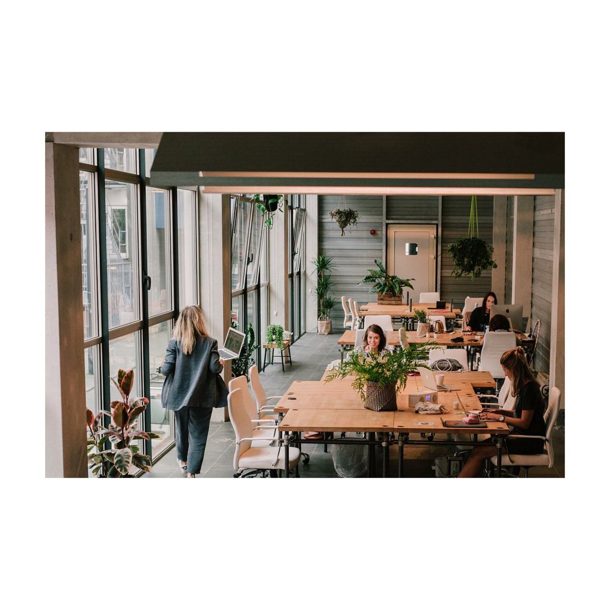 HumbleWrks's tweet photo. Beautiful girl gang coworking place in Rotterdam #hashtagworkmode 🙌
#coworking #workmode #rotterdam #beautiful #inspiration #workbetter https://t.co/wdOInfjD7J